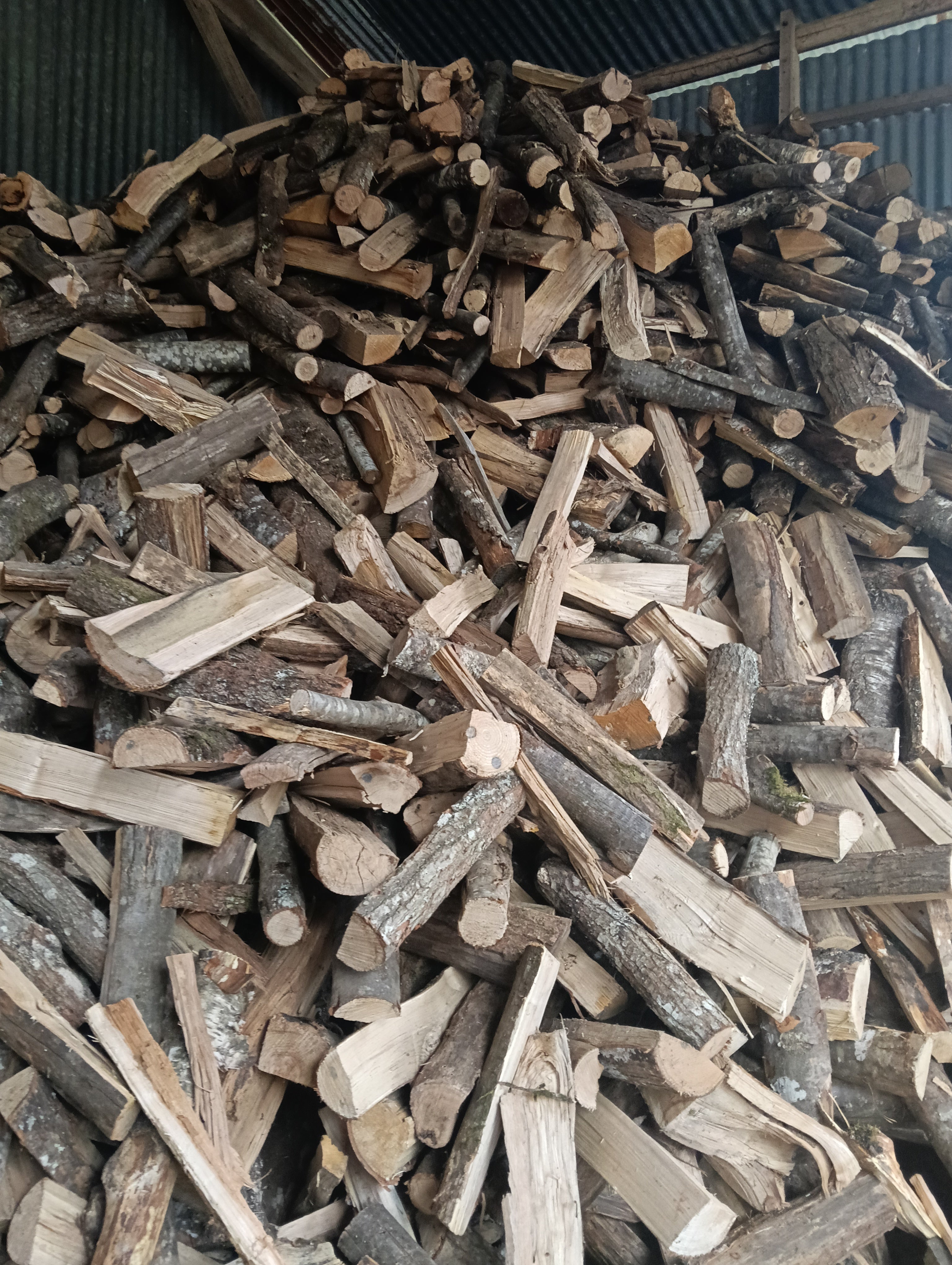 Bois 50 cm