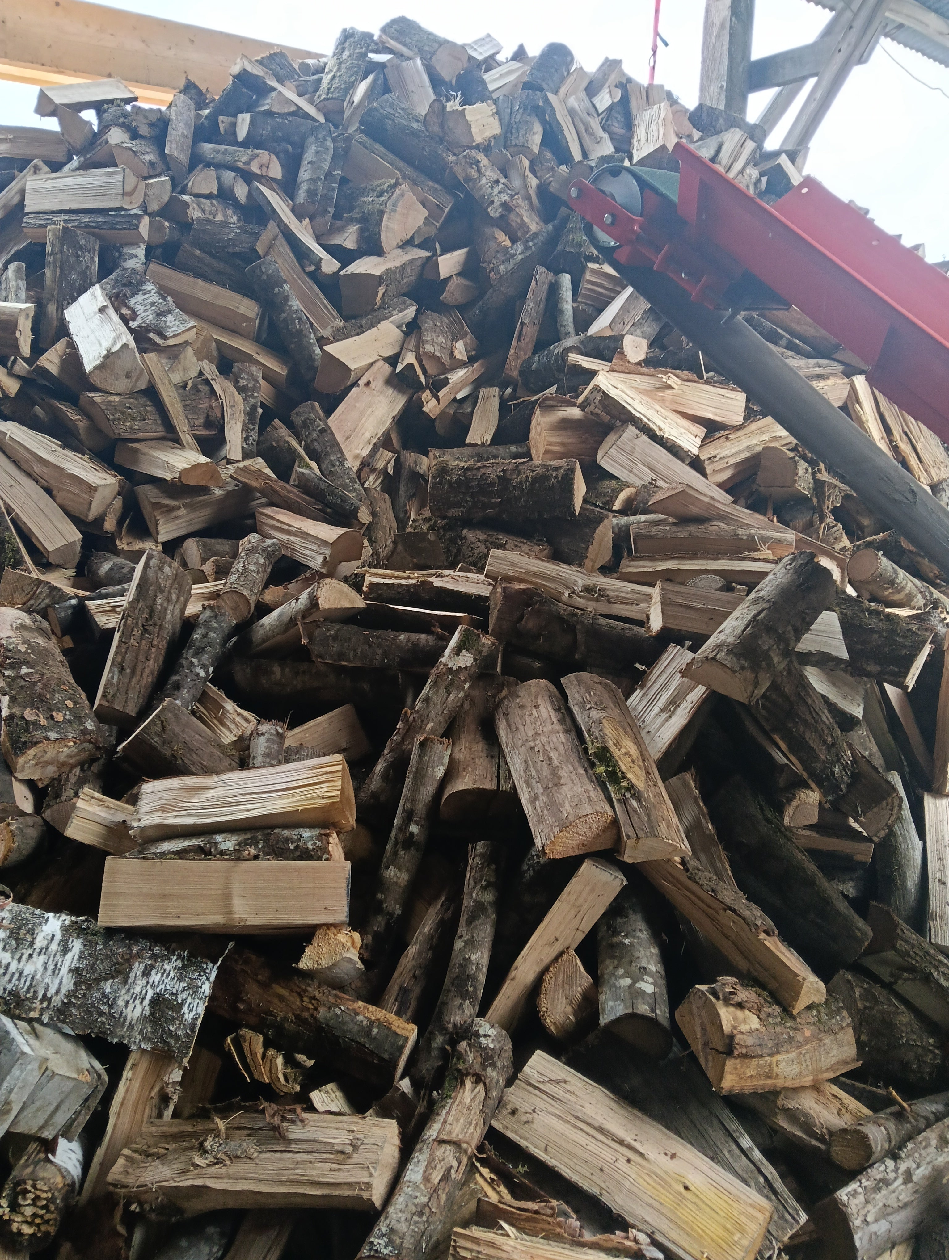 Bois 33 cm
